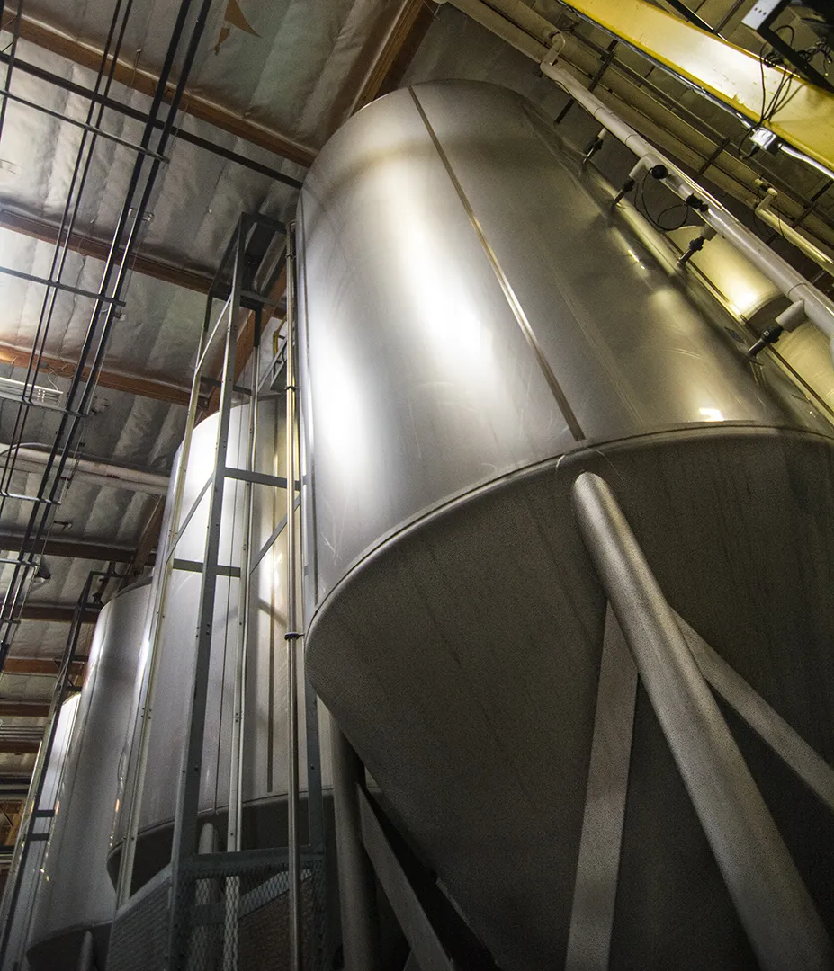 Rows of stainless steel fermentation tanks in a brewery