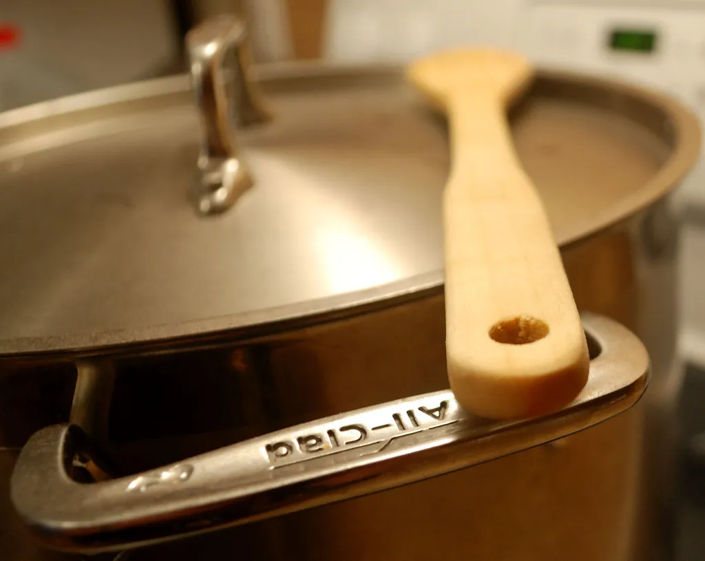 Large stainless steel stockpot