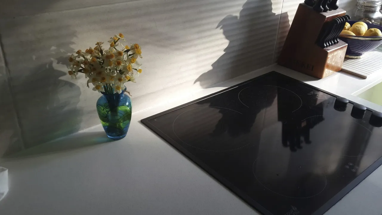 A black glass induction cooktop set into a kitchen counter