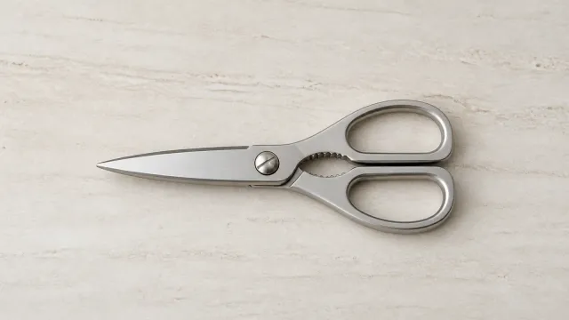 Best Stainless Steel Kitchen Shears
