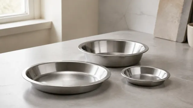 Best Stainless Steel Pie Pans